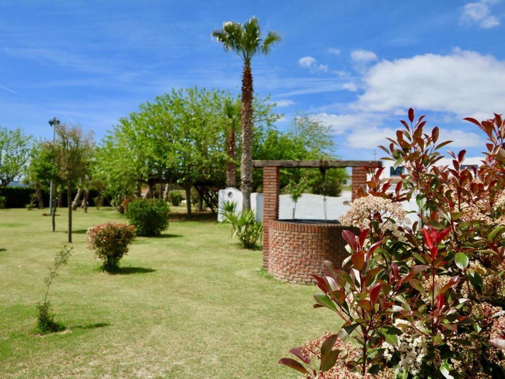 Gasthaus Naturetreehouse Casa Sobre Los Arboles Blanes Exterior foto