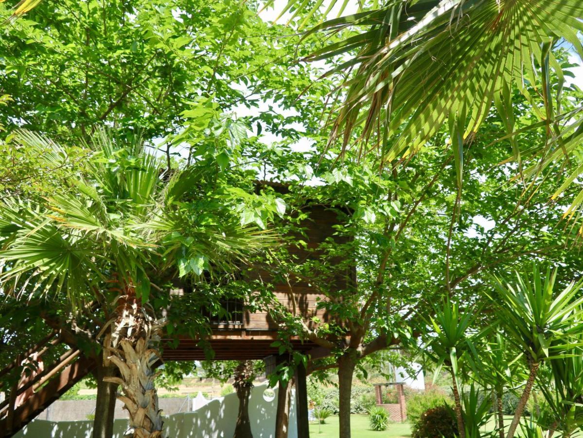 Gasthaus Naturetreehouse Casa Sobre Los Arboles Blanes Exterior foto