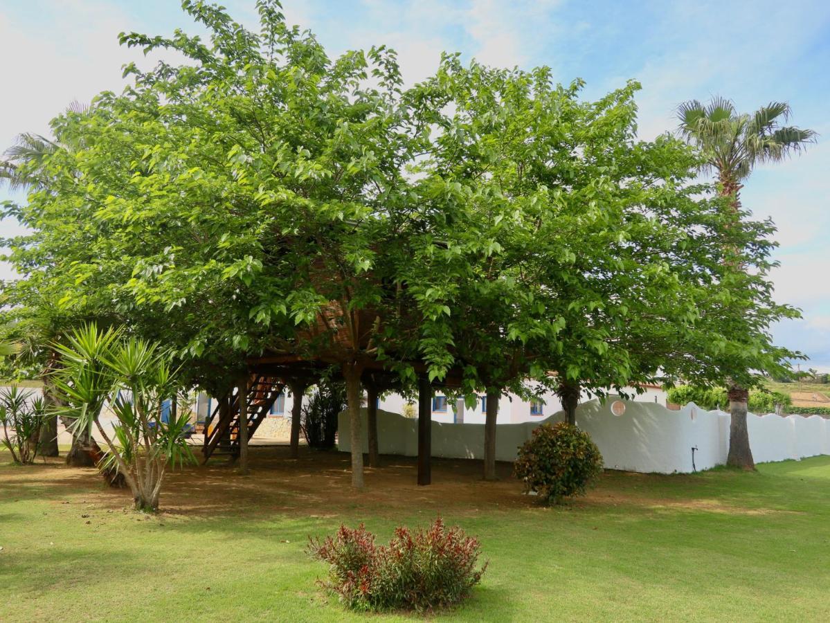 Gasthaus Naturetreehouse Casa Sobre Los Arboles Blanes Exterior foto